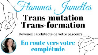 Flammes Jumelles : Trans-mutation , devenez le créateur de votre parcours et de votre complétude.