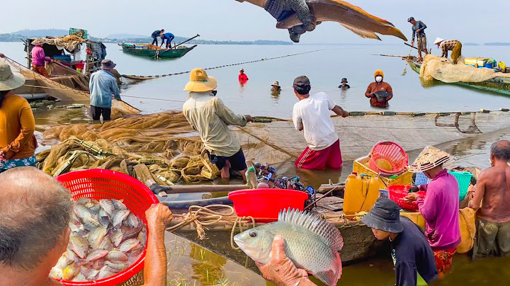 Hô là hố hô là hế nghĩa là gì