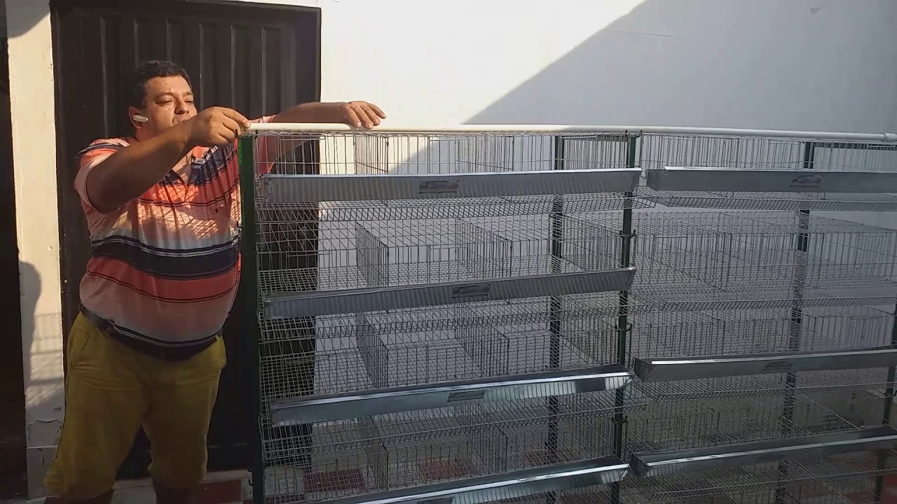 INDUJAULASJYJ.COM Instalación modulos verticales para codornices en colombia.