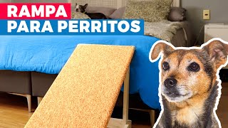 Cómo hacer una rampa para perros