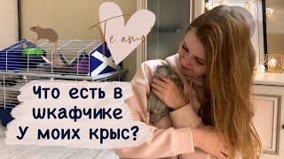 Что купить крысам? Что нужно крысам, а что нет? Показываю что есть у моих крыс🐀