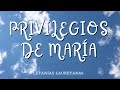 Letanías Lauretanas: Privilegios (1-3)