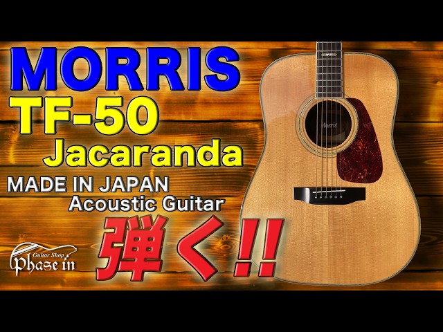 MORRIS TF-50 / Jacaranda 弾く！ - YouTube