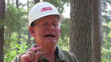 measuring stocking using a 10 factor prism