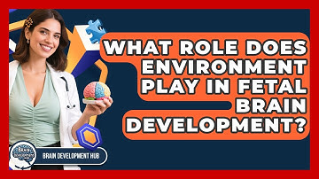 What Role Does Environment Play In Fetal Brain Development? - Brain Development Hub