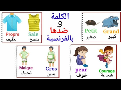 تعلم الفرنسية الأضداد   تعلم مفردات وعها بالفرنسية الكلمات وضدها بالفرنسية