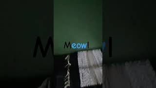 "eow"