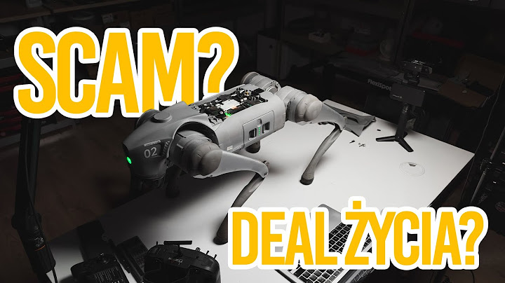 Pies robot za 15K. SCAM czy okazja życia?