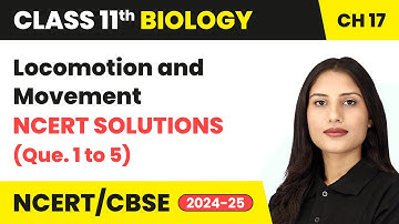 Locomotion and Movement - NCERT Solutions (Q. 1 to 5) | Class 11 Biology Chapter 17 | CBSE 2025-26