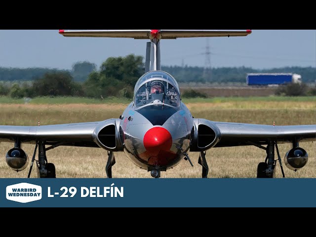 ワドルディ sddefault.jpg?v=674f98b1