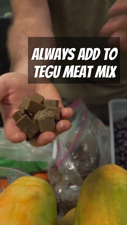 Top Secret Ingredient! #reptiles  #tegu