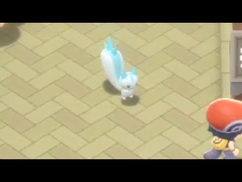 Brilliant Diamond give deja-vu to Pachirisu