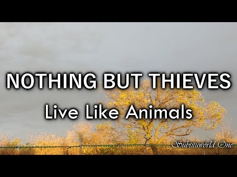 Nothing But Thieves Live Like Animals Sub Español Lyrics