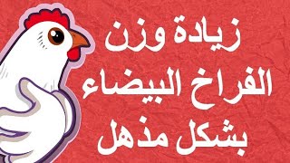 -زياده وزن الفراخ بسرعه الصاروخ -فاتح للشهيه للفراخ البيضاء -خلطة طبيعية لزيادة وزن الفراخ البيضاء