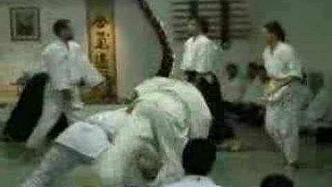 Aikido Shodan Test (2007) - Mike Dolan Fliss, Open Sky Aikido (at New York Aikikai, cam 1)
