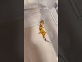 Que patrón tan loco #gecko