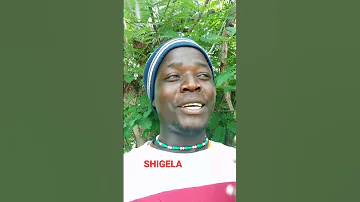 SHIGELA Maliganya Song Simba Mpya 2024 