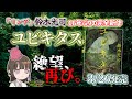 絶望的な恐怖、再び。鈴木光司の16年ぶりの新作『ユビキタス』が恐ろしすぎる......!小説紹介&感想【ゆっくり解説】【読書】