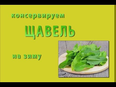 Щавель на Зиму без соли и стерилизации. Самый Быстрый рецепт