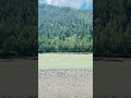 Вид на Катунь #алтай