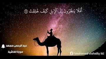 أفلا ينظرون إلى الابل كيف خلقت  سورة الغاشيه