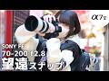 【解説】SONY α7V に大三元レンズ「70-200mm F2.8 GM II」を装着したら、スナップ撮影が最高すぎた。