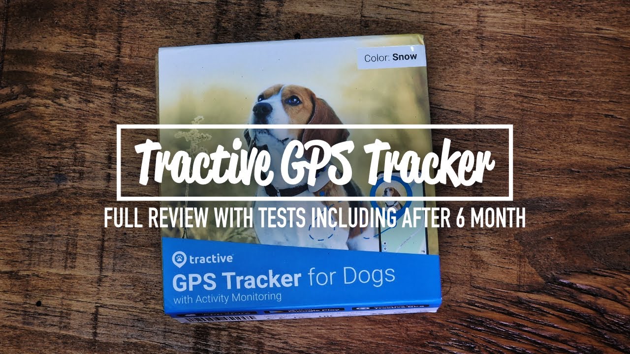 Review: Tractive Waterproof GPS Dog Tracker