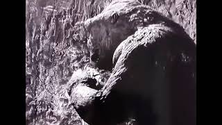 King Kong 1933 - Kong Has Some Fun With His New Plaything Ann Darrow