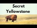 15 ways to escape the crowds in yellowstone