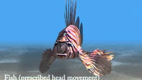 Unified Simulation of Elastic Rods, Shells, and Solids (SIGGRAPH 2010)