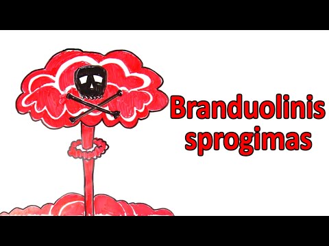 Video: Kaip Vyksta Branduolinis Sprogimas