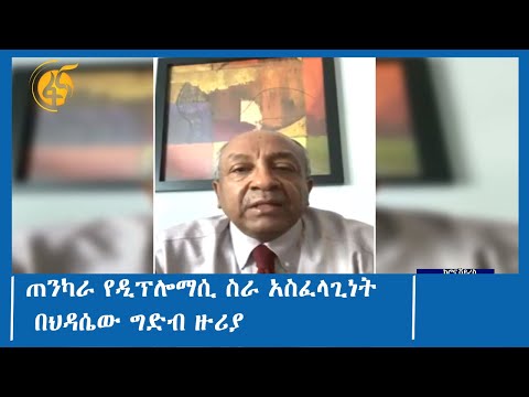 ጠንካራ የዲፕሎማሲ ስራ አስፈላጊነት በህዳሴው ግድብ ዙሪያ