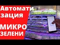 Микрозелень Автоматизация фермы Гидропоника таймер полива и света микрогрин