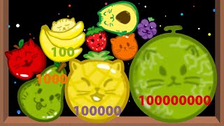 WATERMELON GAME: Cat Kingdom! - Merge Balls (Watermelon Game Cat) Raining Cats: Suika Merge screenshot 3