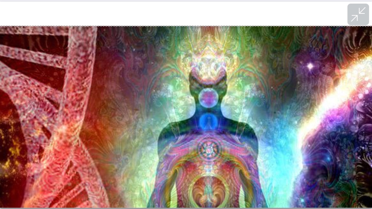 MHW - Tempered Investigations