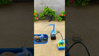 How to mini bathed video with mini motor water pump science project # 819