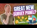 Gaddin review  great new survey panel real user experience