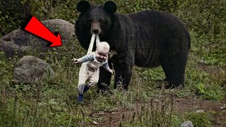 حقائق عن الدببة: حقائق مدهشة وأسرار مخفية عن أخطر حيوان في العالم 