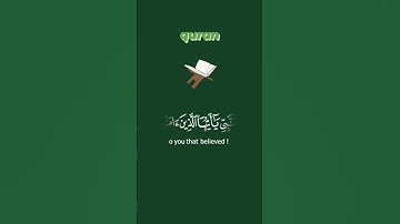 #سورة_الأحزاب || الآية 56 || #quran #duet #beautiful #unfrezzmyaccount #beauty #quotes #explore