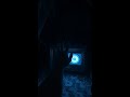 The Attic's Whispers