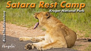 Satara Rest Camp Review Kruger National Park