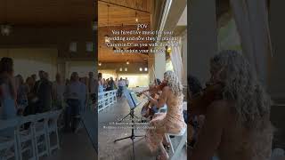 Canon as a bridal entrance #violin #violintune #classicalmusic #musician #weddingideas