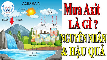 Mưa axit là gì? Nguyên nhân, Tác hại & Cách Phòng Tránh - TRI THỨC Official