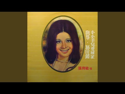 小小羊兒要回家