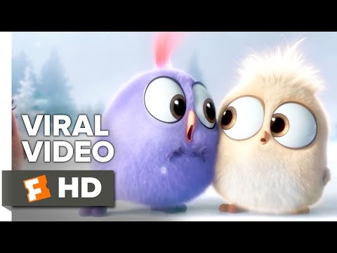 The Angry Birds Movie VIRAL VIDEO - Season's Greetings From The Hatchlings (2016) - Animation HD