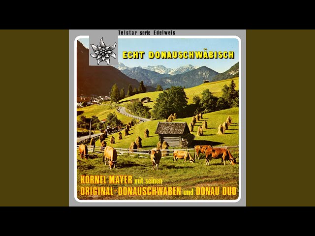 Das Donau Duo, Kornel Mayer & Die Original Donauschwaben Musikanten - Hinter den Wolken