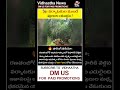 🐅 పర్యాటకుల ముందే పులుల భీకర యుద్దం | Ranthambore Tiger Fight Viral Video