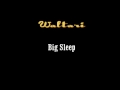 Miniature de la vidéo de la chanson Big Sleep