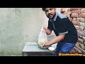 بکری کو فوری ہیٹ پر لانے کا نسخہ جو کسانوں کو بدل دیتا ہے