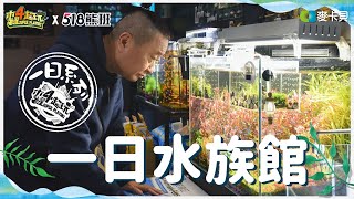 《一日系列第一百六十九集》從虛擬玩到現實!!!和邰哥一起打造一個屬於自己的水族箱!!!  一日水族館